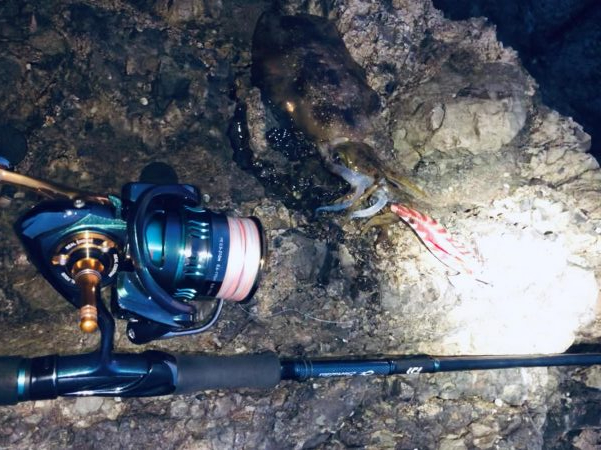 シーバスとエギングへ