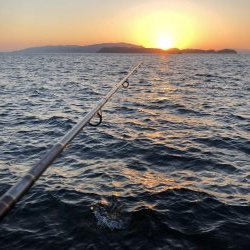 ついに波止から初ブリ‼️