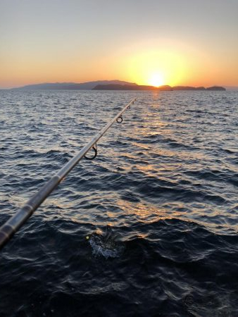 ついに波止から初ブリ‼️