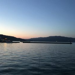 ちょっとだけヒイラギ