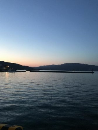 ちょっとだけヒイラギ