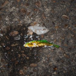 モルビド24がベストマッチ。