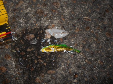 モルビド24がベストマッチ。