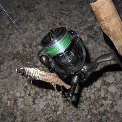 サイズ出ないねぇ～。