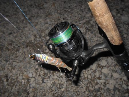 サイズ出ないねぇ～。