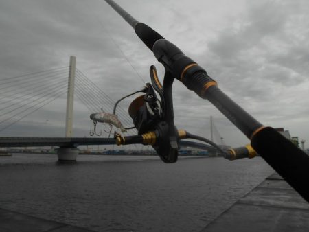 出勤前にちょこっとデイゲーム