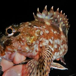 雨降ってきて終了