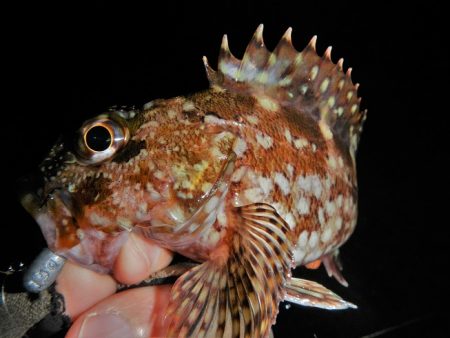 雨降ってきて終了