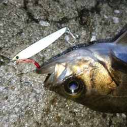 雨の中出撃！！