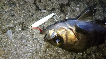 雨の中出撃！！