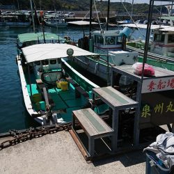 泉州丸で鯛の試し釣り