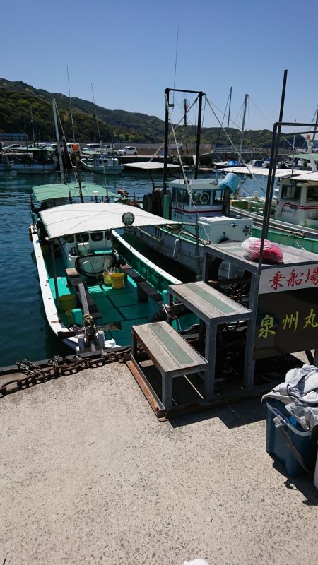 泉州丸で鯛の試し釣り