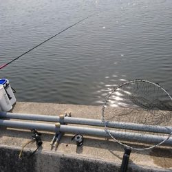 久しぶりの晴天釣り日和