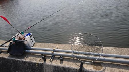 久しぶりの晴天釣り日和