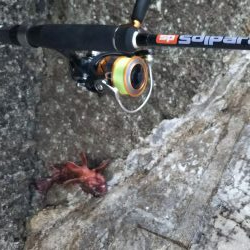 ようやく春が来た