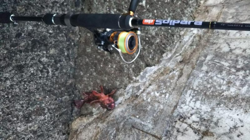 ようやく春が来た