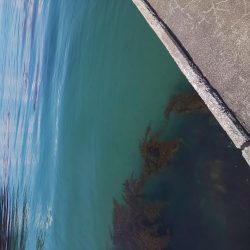 清々しい(キヨキヨしい)