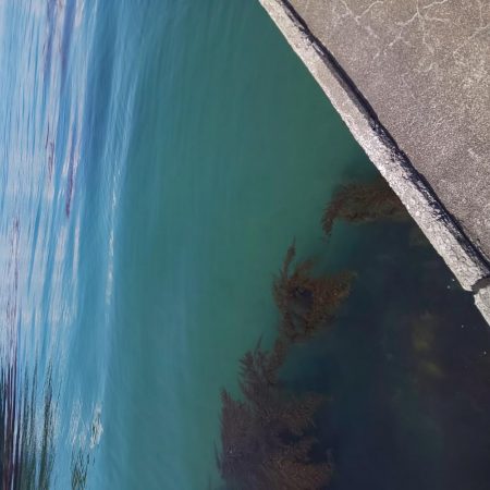 清々しい(キヨキヨしい)