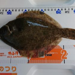 平成最後の淡路島釣行