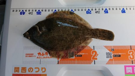 平成最後の淡路島釣行