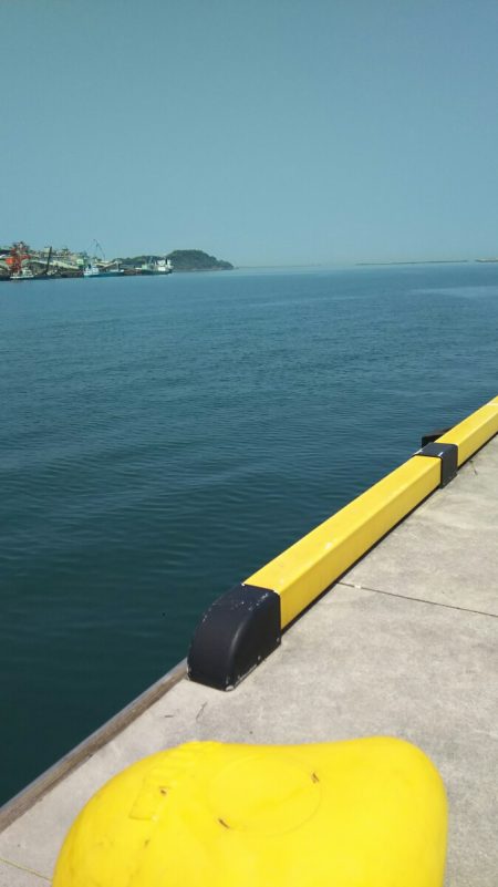 平成ファイナル~苅田港シーバス調査