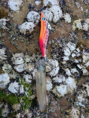 仕事終わってのプチエギング