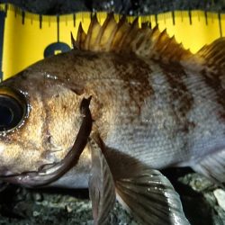 仕事終わりメバリング