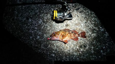 夕まずめメバリング