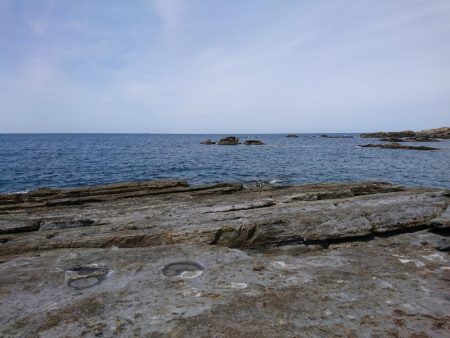 平成最後のアオリイカ