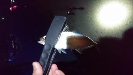 作ってみました。笑