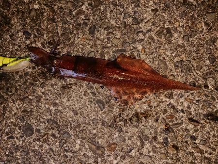 好状況ながら渋い