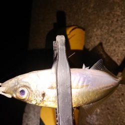 爆風の中さすがに厳しい