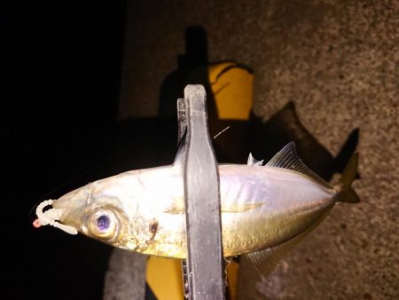 爆風の中さすがに厳しい