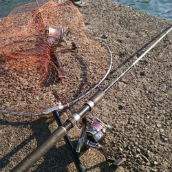 クエ釣りのはずか