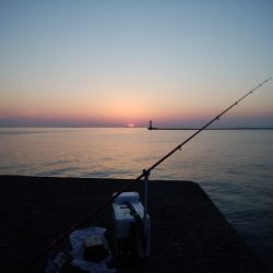 播磨新島のキス情報