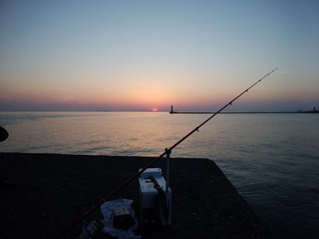 播磨新島のキス情報
