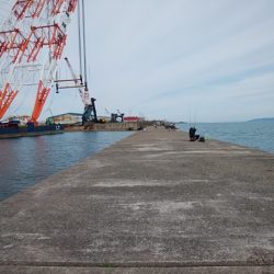 播磨新島のキス情報