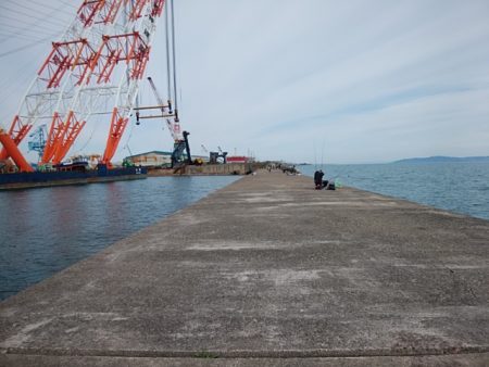 播磨新島のキス情報