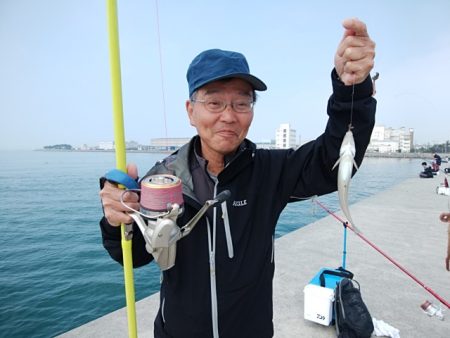 東二見白灯台のキス情報