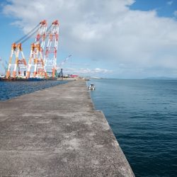 播磨新島のキス情報