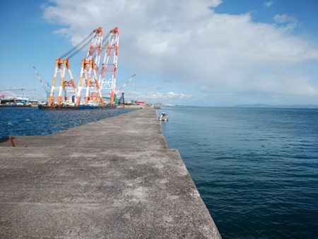 播磨新島のキス情報