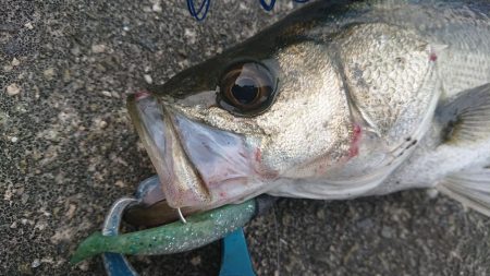 暖かい春の夕練！