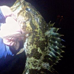 満潮からの引き潮で