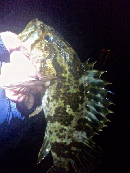 満潮からの引き潮で