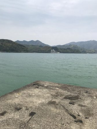 デカキス、コウイカ、ヒイラギ