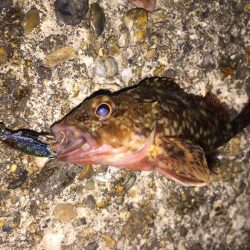 風が強かった！