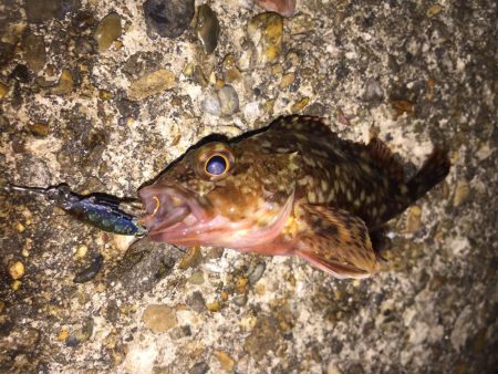 風が強かった！