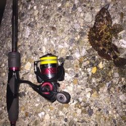 今日もフロート！