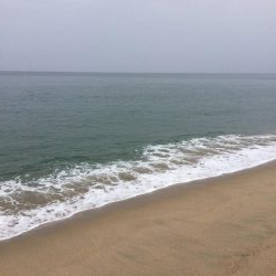 海サクラマスヒット!