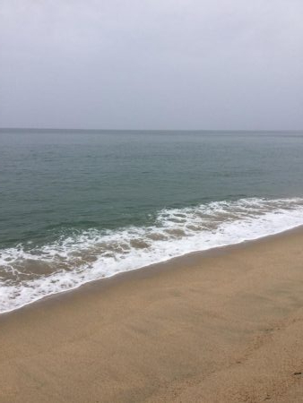 海サクラマスヒット!